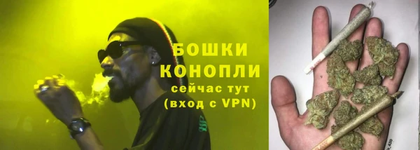соль ск Бородино